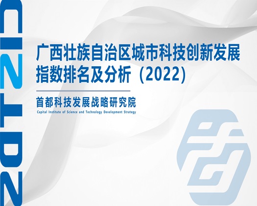 插逼靠逼视频【成果发布】广西壮族自治区城市科技创新发展指数排名及分析（2022）